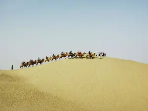 深秋看胡杨慢游库尔勒火车两日三天之罗布人村寨