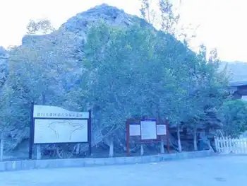 新疆南疆六日游续,图十一