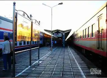 新疆旅游去沙漠看胡杨,图二