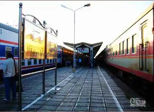 新疆旅游去沙漠看胡杨