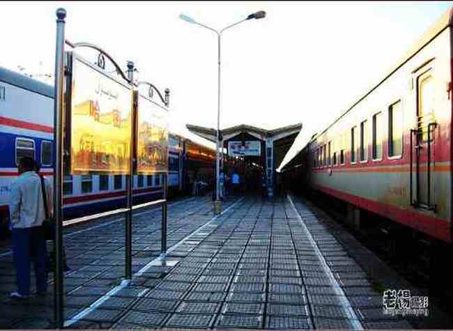 新疆旅游去沙漠看胡杨,图二