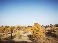 南疆大环游 阿拉尔到库尔勒