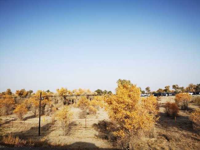 南疆大环游 阿拉尔到库尔勒