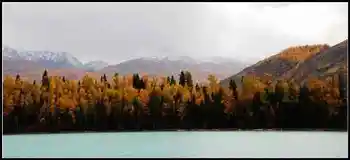 新疆之旅--喀纳斯,图十一