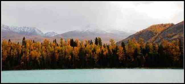 新疆之旅--喀纳斯,图十一