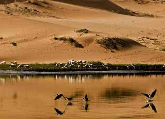 南疆大漠之旅,图十九