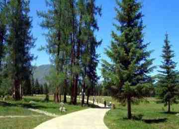 最想回忆的喀纳斯-红叶飘飞的日子,图三