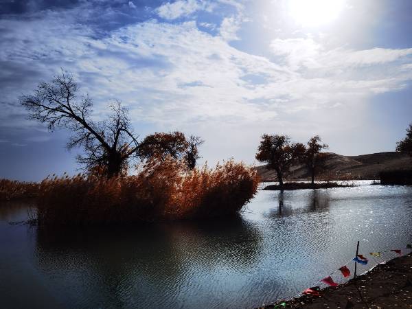 游罗布人村寨第四天