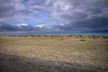 北疆赛里木湖,图十二