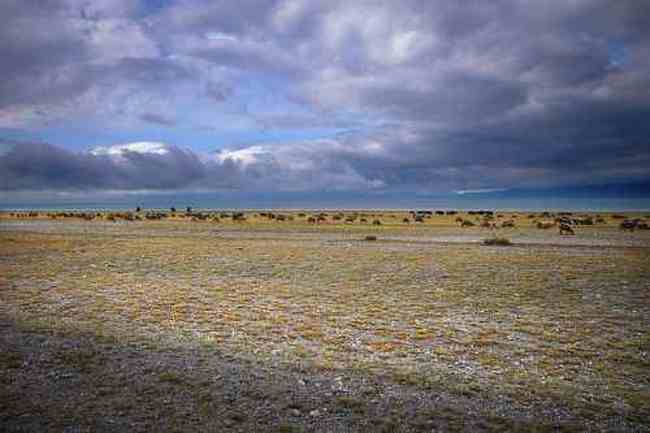 北疆赛里木湖,图十二