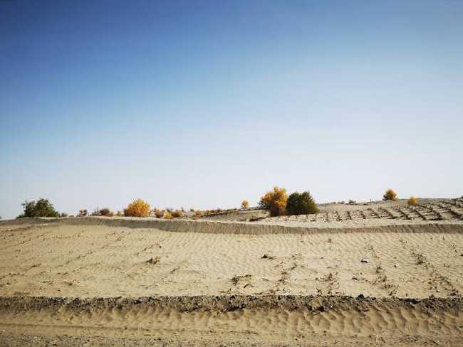 南疆大环游 和田到阿拉尔