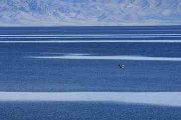 北疆赛里木湖,图二十一