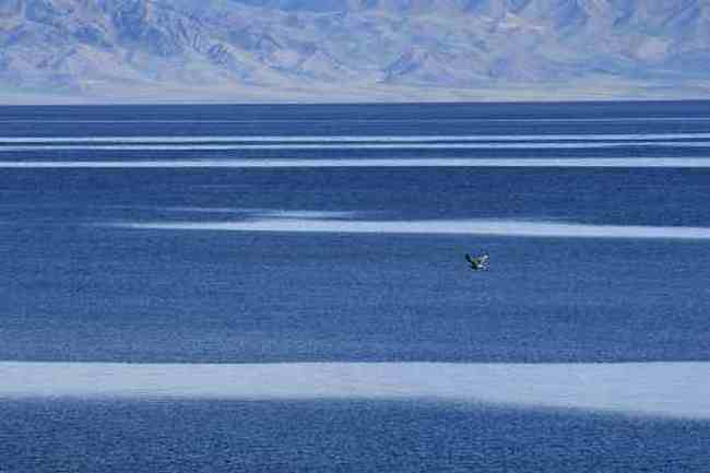 北疆赛里木湖,图二十一