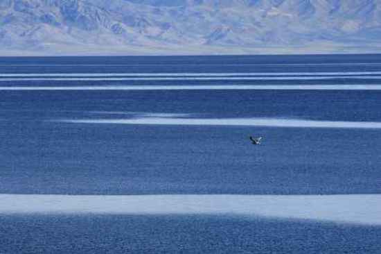 北疆赛里木湖,图二十一