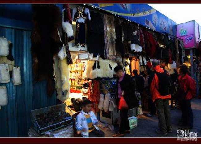 新疆·匆匆眺望梨城库尔勒,图五