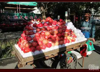 乌鲁木齐城的镇山之鼎,图十二