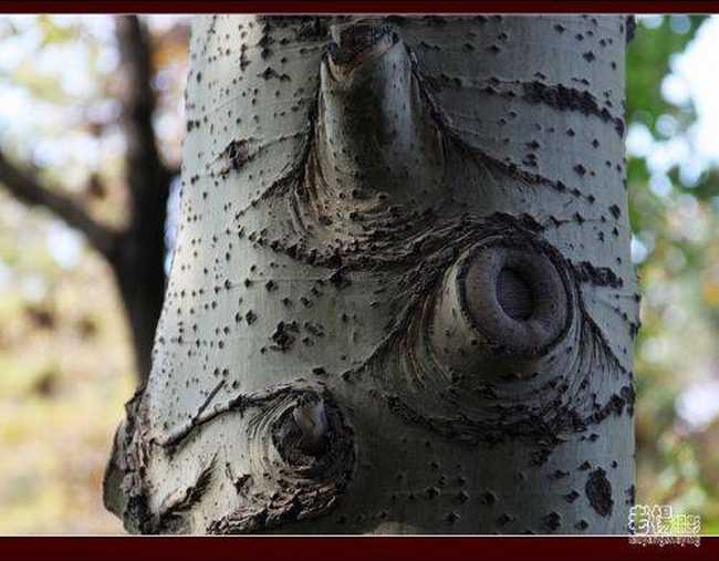 乌鲁木齐城的镇山之鼎,图八