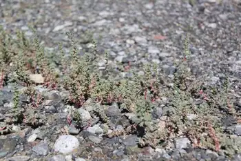 快乐自驾游,图四