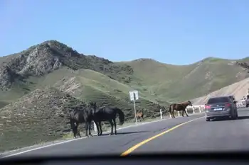 快乐自驾游,图三