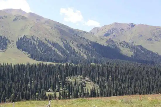 快乐自驾游续(乔尔马-那拉提-巴音布鲁克)