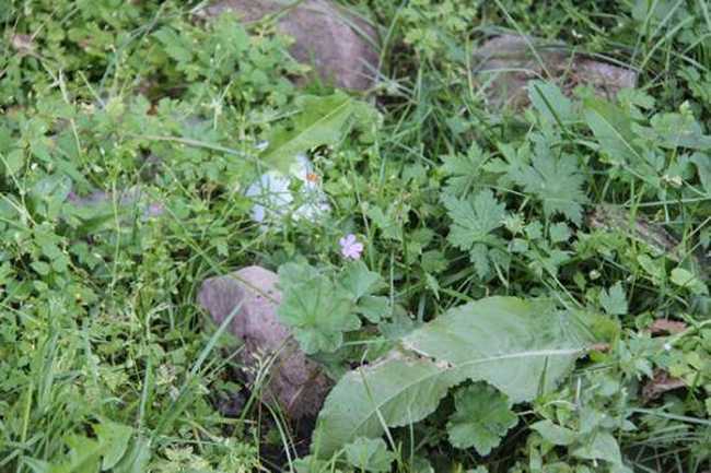 快乐自驾游续（乔尔马-那拉提-巴音布鲁克）,图四