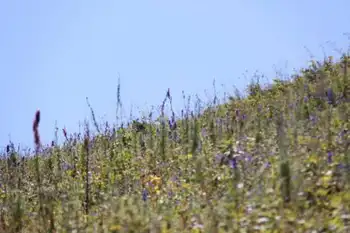 快乐自驾游续（乔尔马-那拉提-巴音布鲁克）,图三