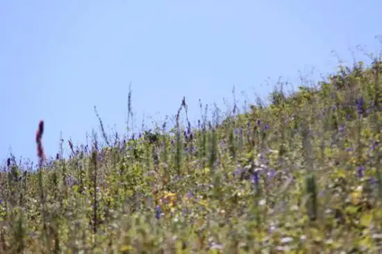 快乐自驾游续(乔尔马-那拉提-巴音布鲁克)