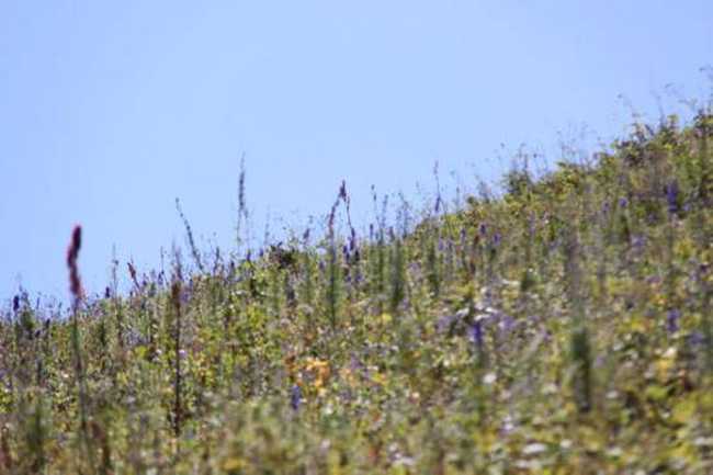 快乐自驾游续（乔尔马-那拉提-巴音布鲁克）,图三