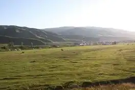 快乐自驾游续（乔尔马-那拉提-巴音布鲁克）