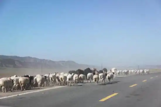 快乐自驾游续三（乔尔马-那拉提-巴音布鲁克）