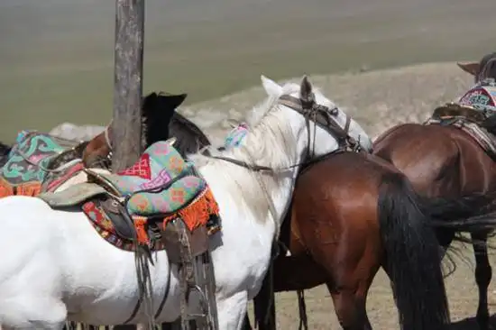 快乐自驾游续三（乔尔马-那拉提-巴音布鲁克）
