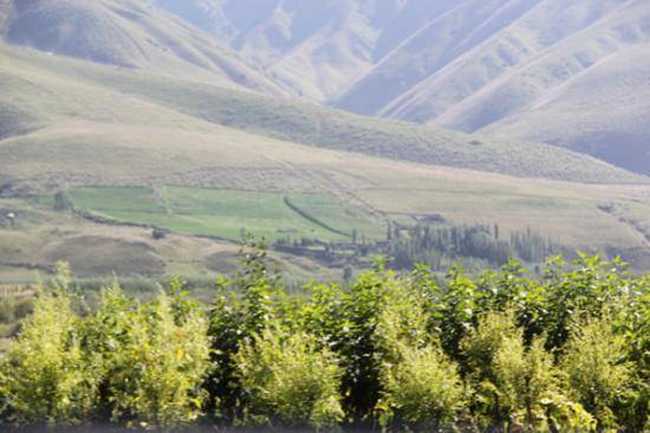 快樂自駕游續(xù)三（喬爾馬-那拉提-巴音布魯克）,圖三