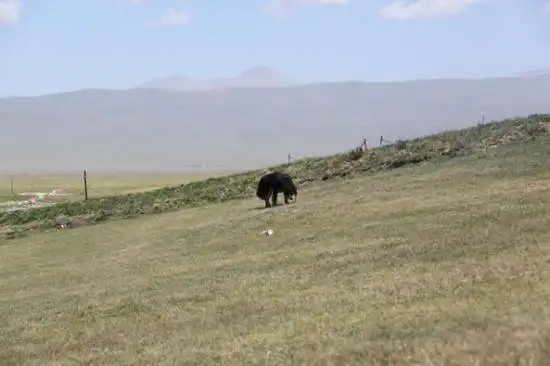 快乐自驾游续三（乔尔马-那拉提-巴音布鲁克）