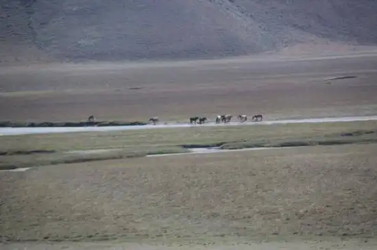 快乐自驾游续三（乔尔马-那拉提-巴音布鲁克）