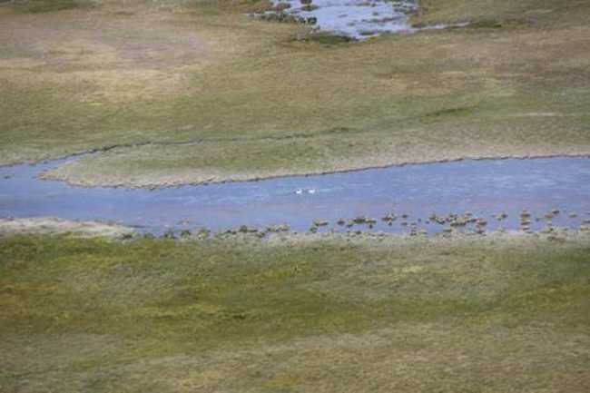 快樂自駕游續(xù)三（喬爾馬-那拉提-巴音布魯克）,圖七