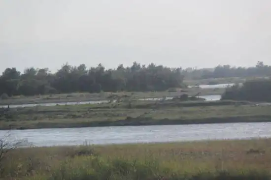 快乐自驾游续四（巴音布鲁克草原-伊犁河-伊宁）