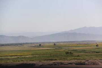 快乐自驾游续四(巴音布鲁克草原-伊犁河-伊宁),图四