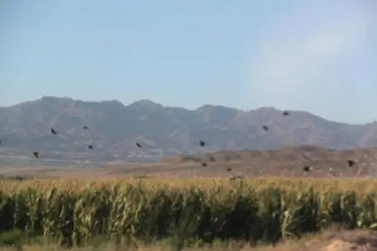 快乐自驾游续四（巴音布鲁克草原-伊犁河-伊宁）