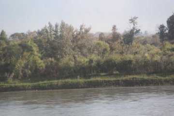 快乐自驾游续四(巴音布鲁克草原-伊犁河-伊宁),图七