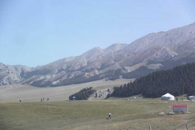 快乐自驾游五（伊宁-果子沟大桥-赛里木湖）,图六