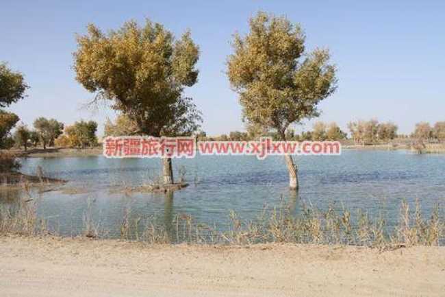 羅布人村寨四,圖三