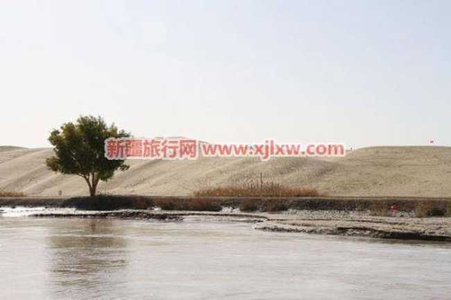 羅布人村寨四,圖二