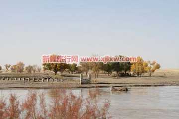 罗布人村寨一,图二