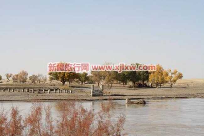 罗布人村寨一,图二