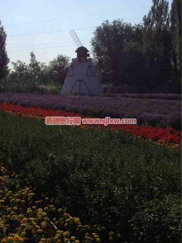 伊犁那拉提芳香之旅（四）,图三