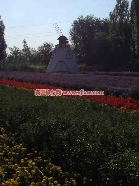 伊犁那拉提芳香之旅（四）