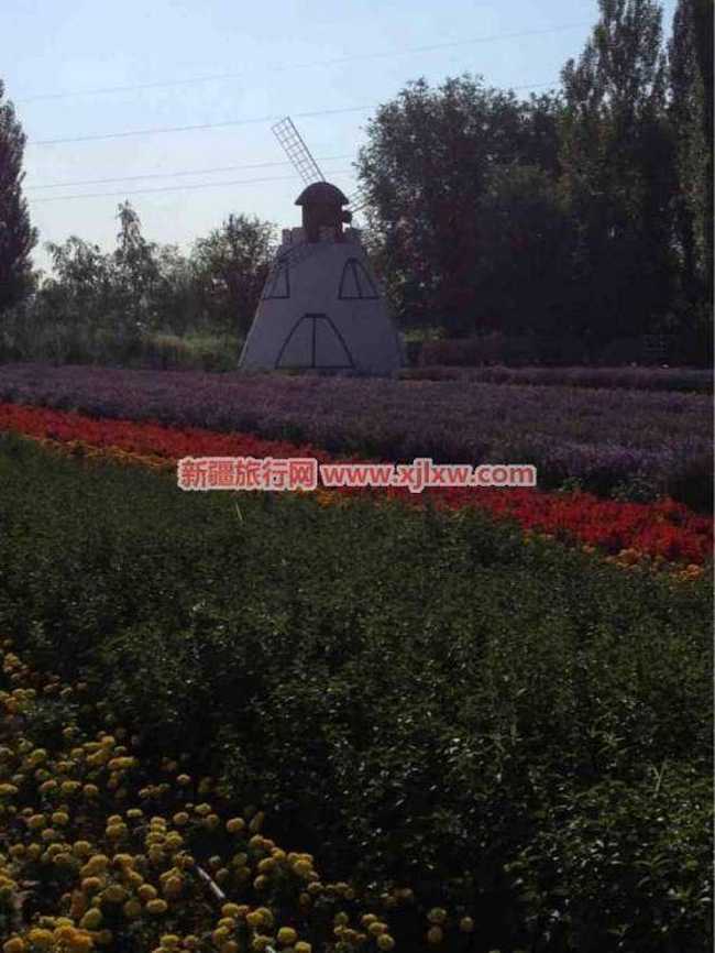 伊犁那拉提芳香之旅（四）,图三