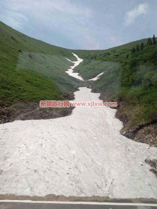 伊犁那拉提芳香之旅（三）,图九