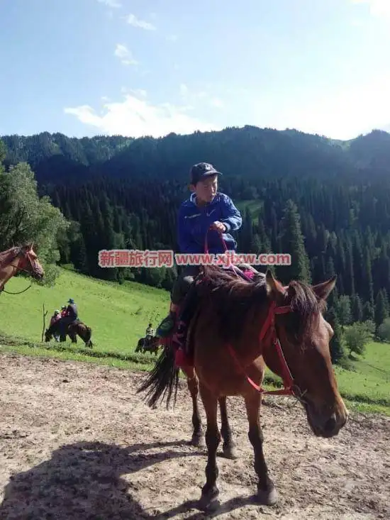 伊犁那拉提芳香之旅(二)