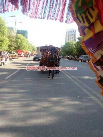 伊犁那拉提芳香之旅（二）,图三